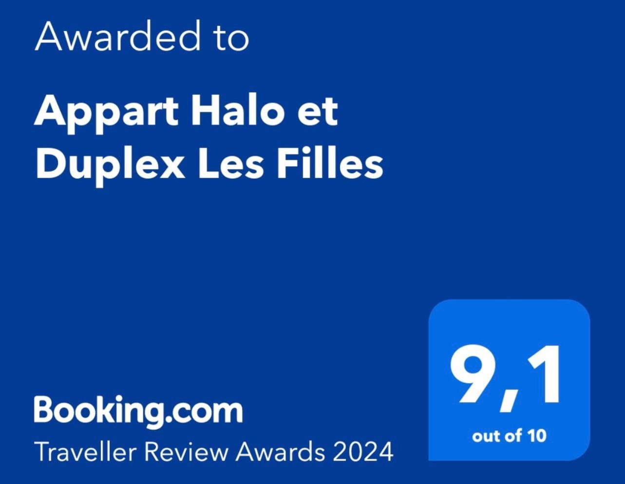 Appart Halo Et Duplex Les Filles 迪南 外观 照片